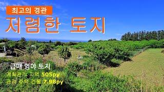 매물 : (NO.067)급매, 경관 좋은 임야 토지