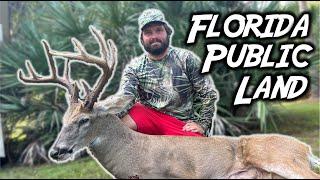 GIANT South Florida Buck: public land archery