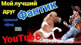 Минихорс Фантик .Самый умный пони . CIRCUS mini-horse.Pony in the circus .