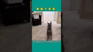 放眼看世界