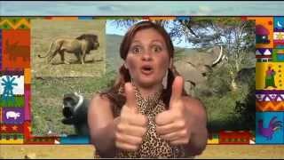 Jambo - children's multicultural education song
