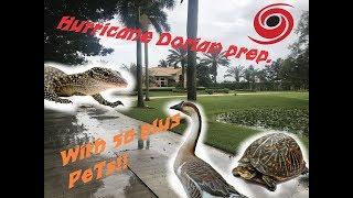 Preparing for Hurricane Dorian With 50+ Pets!!!