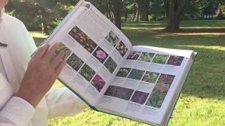 What Plant Where Encyclopedia, edited by Lorraine Johnson, reviewed by Nicholas Hoare