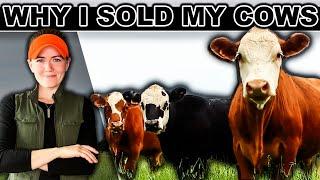 ‼️HOW (most) RANCHERS MAKE MONEY RAISING COWS | Raising Beef Cattle Market Small Scale Pasture