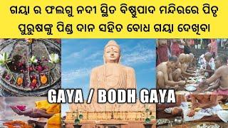 Gaya / Bodh Gaya Complete Tour | Pind daan in Gaya Near Falgu River | Bodh Gaya City Tour Guide