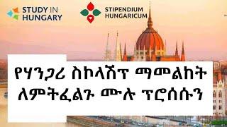  How to apply Stipendium Hungary Scholarship Program.