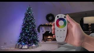 Evergreen Classics® Color Blast™ Christmas Tree, with Color-Wheel Remote Control & 10 Motion Effects