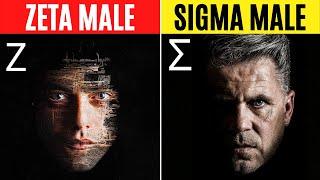 SIGMA MALE & ZETA MALE - 6 THINGS THEY HAVE IN COMMON