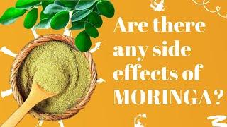 Are There Any Side Effects of Moringa  II Disadvantages of Moringa Powder