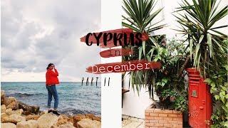 Что делать на Кипре в декабре | Cyprus holiday | Part II