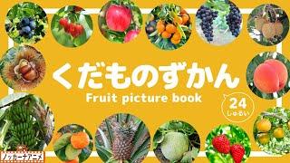 【くだもの図鑑】おいしそうな果物がずらり24種！知育アニメ【赤ちゃん・子供向け】Fruit  picture book for kids