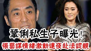 Gong Li's illegitimate son was exposed, and Zhang Yimou went to France overnight with emotion