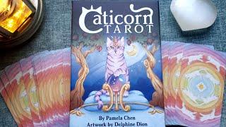 CATICORN TAROTNew ReleaseReview+Walkthrough+Pairings  #cat #unicorn #tarot @usgamessystems