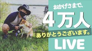 【LIVE配信】おかげさまで登録者数４万人、感謝を伝えるライブ。