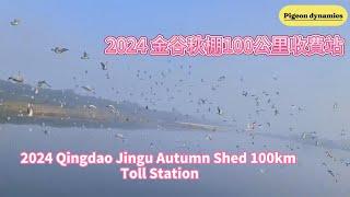 2024 金谷秋棚100公里收費站 2024 Qingdao Jingu Autumn Shed 100km Toll Station