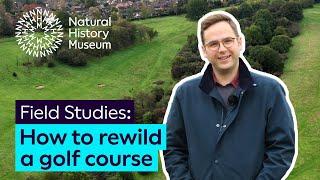 How to rewild a golf course | Field Studies