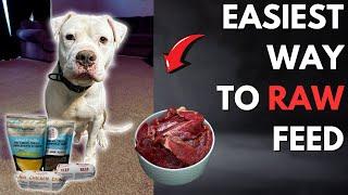 Best Way To Feed Your Dog A Raw Diet On A Budget in 2024!