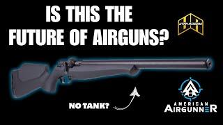 FX AIRGUNS DRS at 100 Yards Surprising Accuracy