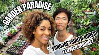 Garden Paradise in Seoul | Yangjae Flower Market |  AMBW COUPLE | KR/ENG SUB