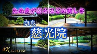 【慈光院】奈良県で最も美しい日本庭園