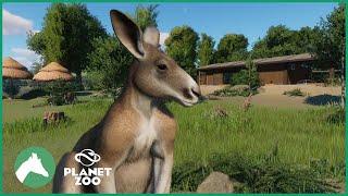 Red Kangaroo Habitat + Africa Pack Discussion | Elm Hill City Zoo | Planet Zoo