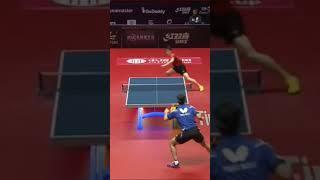 Incredible Rally!!  Timo Boll vs Yuya Oshima #tabletennis #shorts #short