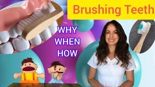 Fun Brushing Tips: How, Why, and When to Brush Children's Teeth (for Ages 2-7)