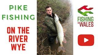 Fishing In Wales - Pike fishing on the river Wye