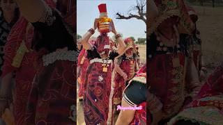 rajasthani sanskriti#priyankajaat#shekhawaticulture#desivlogvillage#rajasthani#jaatnilook#dance#rj