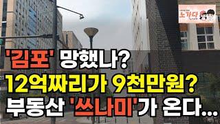 이런 가격이면 나도 사고 싶다 NO. 들어가면 끝장납니다! 수익형 부동산 투자했다가 인생 망친 사람들. 부동산 아파트 상가 지식산업센터 오피스텔 이야기 하락 폭락 노가다 노비