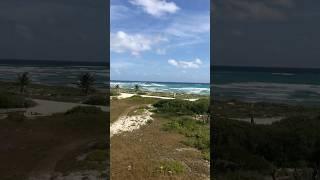 #beach VIEW COZUMEL YUCATÁN #mexico #travel