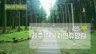 [360 VR TRAVEL] 제주 절물자연휴양림 - 4K VR 360도 여행영상