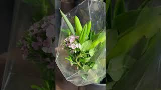 Lily Blooms Bunch @ShopRite | #Shorts | Cool Places