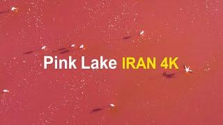 Amazing Pink Lake In Iran 4k |  دریاچه صورتی مهارلو  شیراز