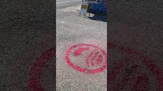 BUFO Crop Circle at Salmon Creek in Burien 7/11/23