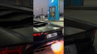 INSANE LAMBORGHINI AVENTADOR REVVING AND SPITTING FLAMES