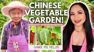 MY GRANDMA'S CHINESE VEGETABLE GARDEN! Hakka Family Vlog EP.7 | Kirsty Lo