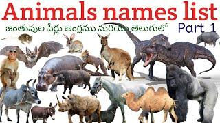 Names of animals in English and Telugu | Vocabulary | Telugu to english | Animals Names List