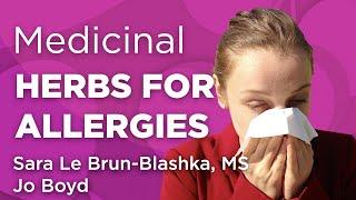 Medicinal Herbs for Allergies | WholisticMatters Podcast | Special Series: Medicinal Herbs