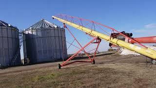 BigIron Auctions Westfield MK 130-91Plus 130'x91" Auger W/ Truck Hopper