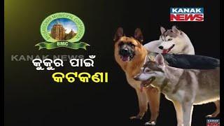 Special News: Fetch Permission From BMC To Own Pet Dogs In Bhubaneswar |