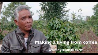 Making a living from coffee: Owning a small farm