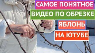 КАК ОБРЕЗАТЬ ЯБЛОНЮ ВЕСНОЙ: ПОКАЗЫВАЮ И РАССКАЗЫВАЮ ПРОСТЫМ И ПОНЯТНЫМ ЯЗЫКОМ!