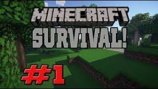 MINECRAFT - From Spawner To Diamond Armor!!! #1 HOUSE