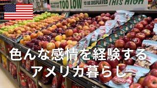 【全てが初体験のアメリカ暮らし】車がないと不自由な国｜南北戦争発端の地チャールストンへ｜アメリカのスーパーLOWESへ｜ふわふわなパンと高価な乳製品