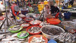 Cambodian Fish Market Tours @Kilo9 - Daily Activities Of Khmer People Buying Some Fish & More