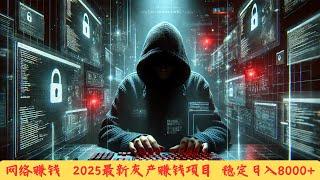 网络赚钱 2025最新网络赚钱项目 灰产类网赚项目赚钱最快的方法 手机赚钱最好的项目 适合所有人兼职或当副业的网络赚钱项目（网赚阿斌）