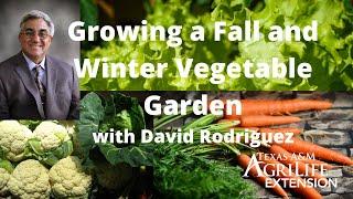 Growing a Fall and Winter Vegetable Garden with David Rodriguez