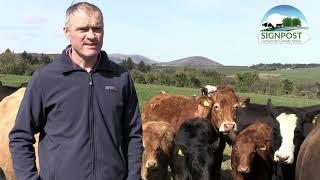 Ger McSweeney - A Signpost Programme Farmer - Beef