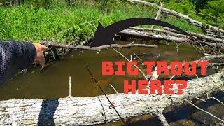 Michigan Trout Fishing - BIG FISH Day - Brown Trout and Brook Trout